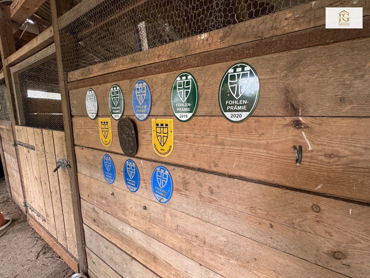 ANFRAGE STOPP ! EFH-ruhige Alleinlage-Ideal für Pferdeliebhaber
-Reitplätze-Ställe-Teiche-Natur-2016 modernisiert